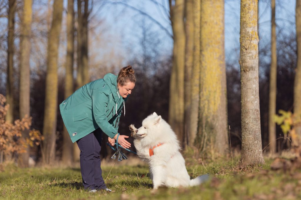 Gedragsconsultaties Dierenartsenpraktijk Heizijde