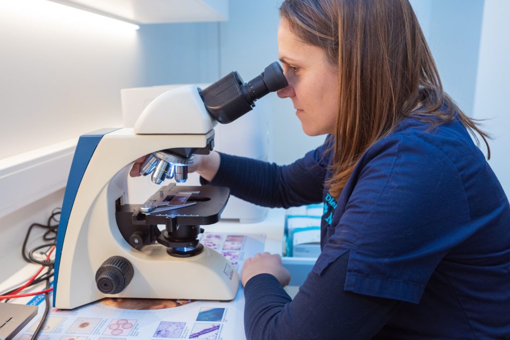 Microscopie Dierenartsenpraktijk Heizijde